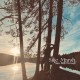 Sun Will Prevail